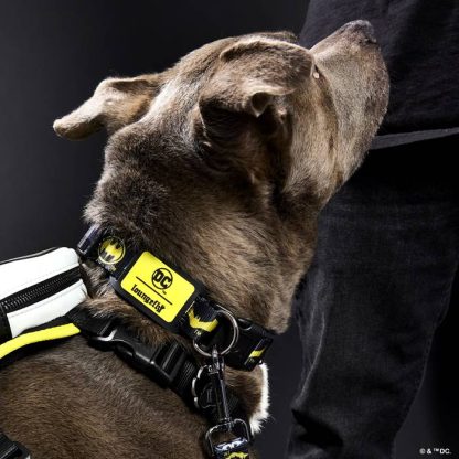 DC Comics Batman™ 85th Anniversary Dog Collar - Image 2