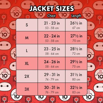 Big Hero 6 10th Anniversary Baymax & Friends Unisex Bomber Jacket - Image 5